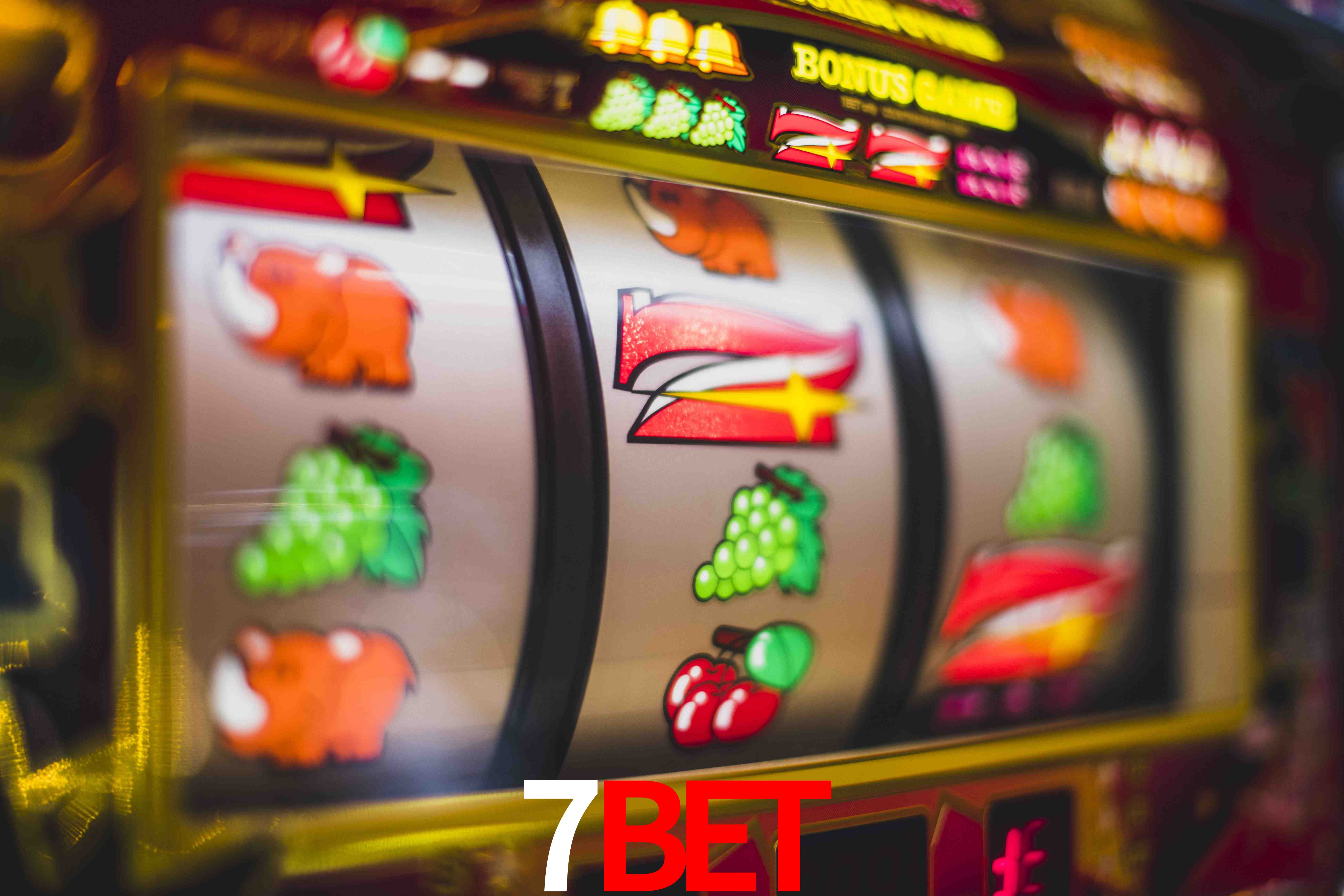 Sports Statistics 7bet
